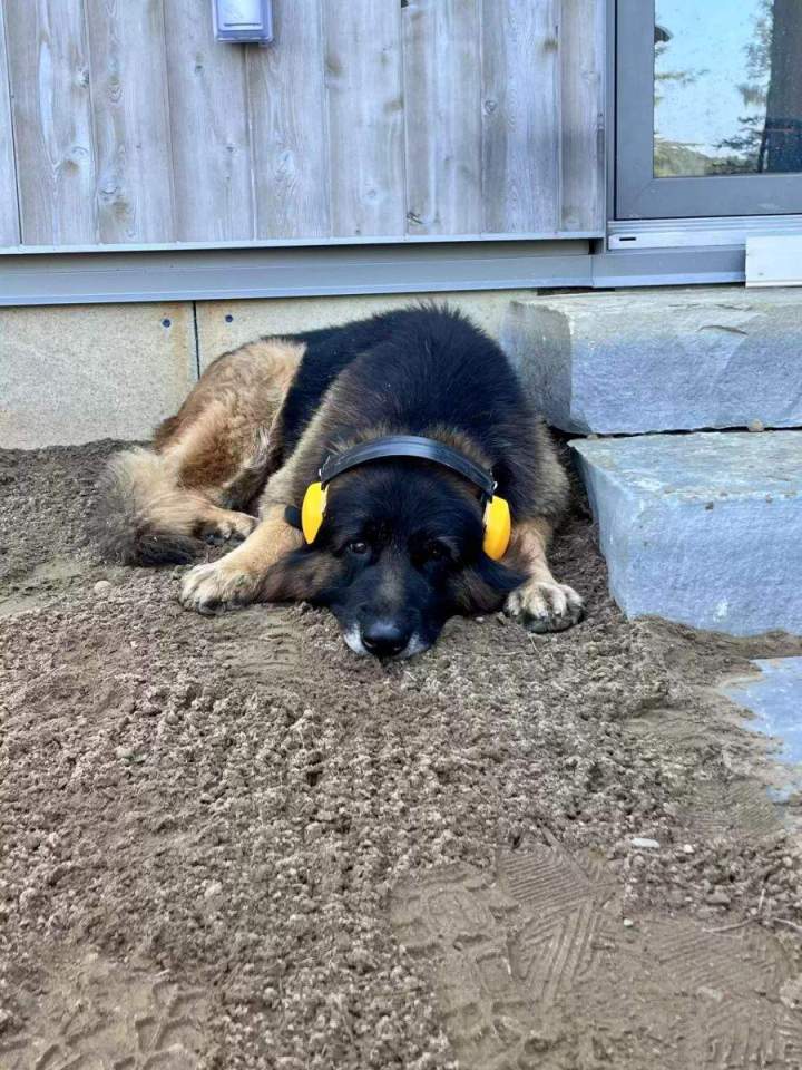 Excavation de fondation Saint-Hippolyte